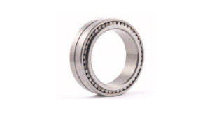 Двухрядні циліндричні безсепараторні роликові підшипники з максимальним набором роликів